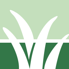 Weed Control