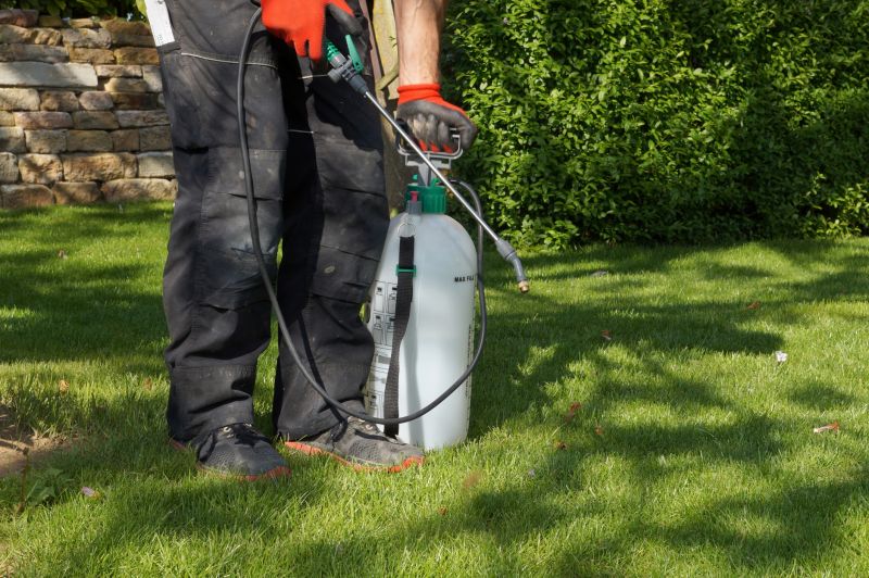 Crabgrass Prevention in Rockwall, TX
