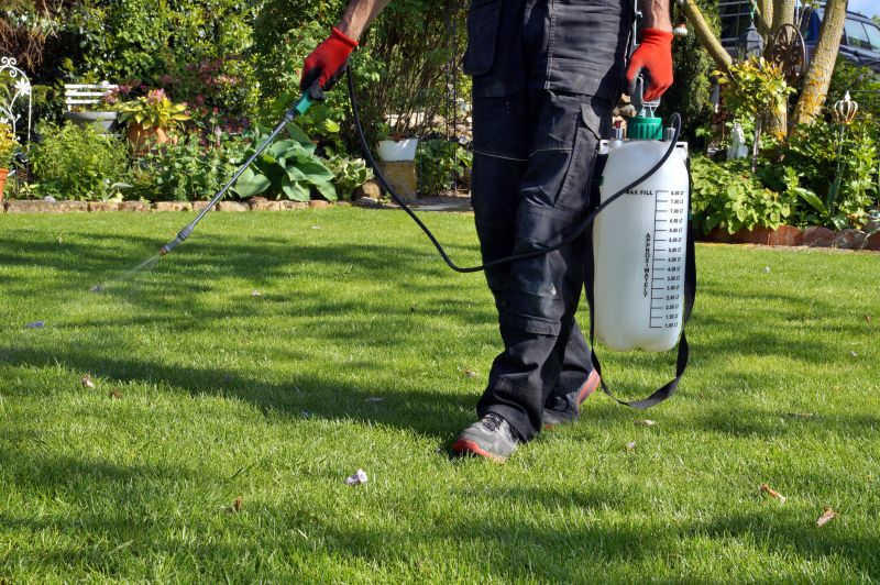 Lawn Spraying in Rockwall, TX