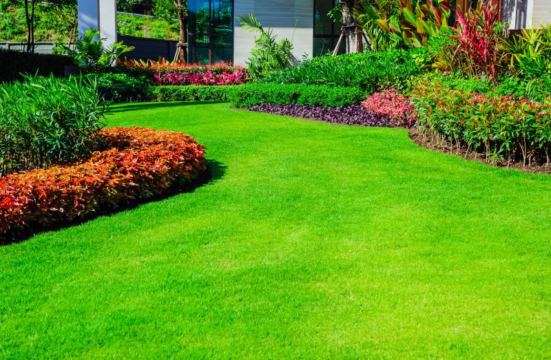Healthy, Green Lawn