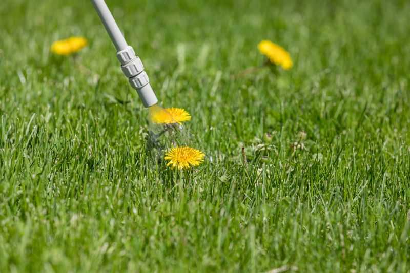 Lawn Weed Spraying in Aiken, SC