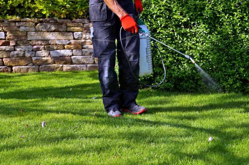 Lawn Weed Treatment Service