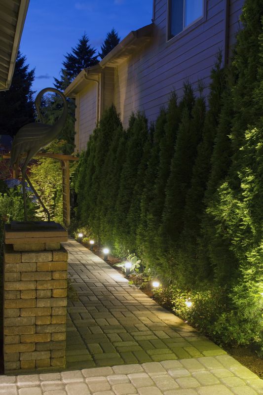 Low Voltage Lighting Service in Denver County, CO