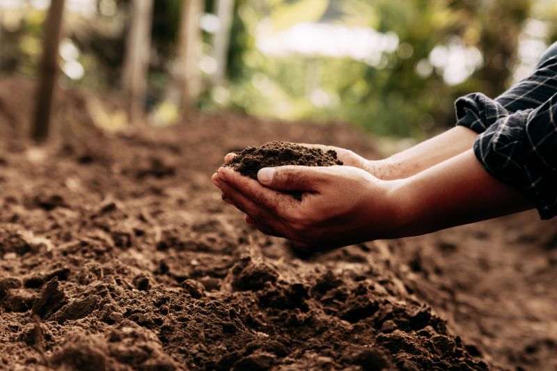 Soil Topdressing in Ventura County, CA