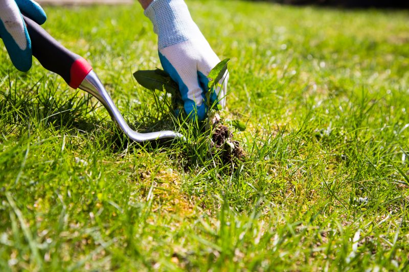 Landscape Maintenance Tools