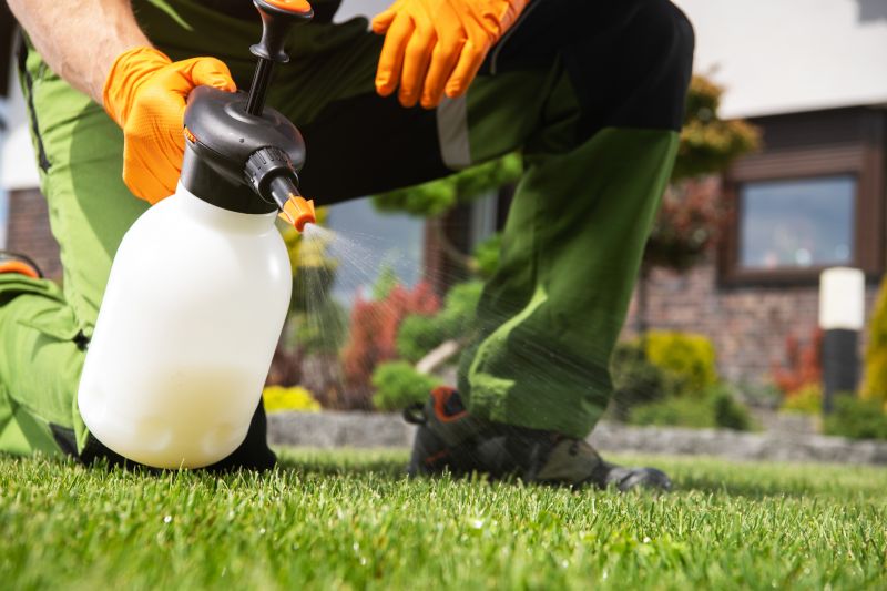 Yard Treatment Service in Honolulu, HI