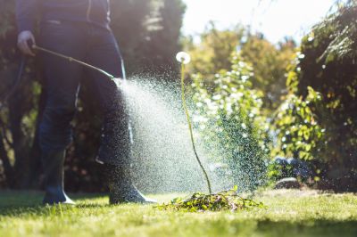 Weed Control, Weed Control, Massachusetts